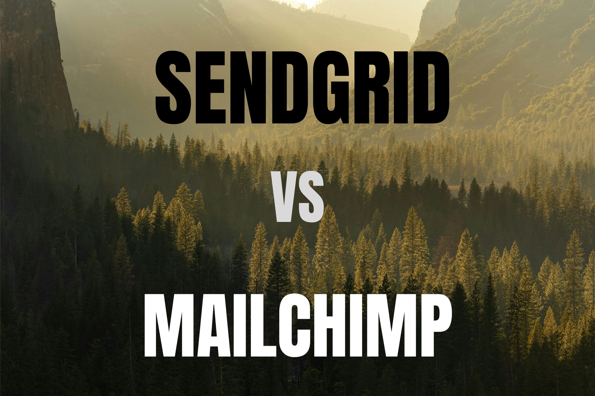 Read more about the article Sendgrid vs Mailchimp 2024 – Which is the Best Email Marketing Tool?