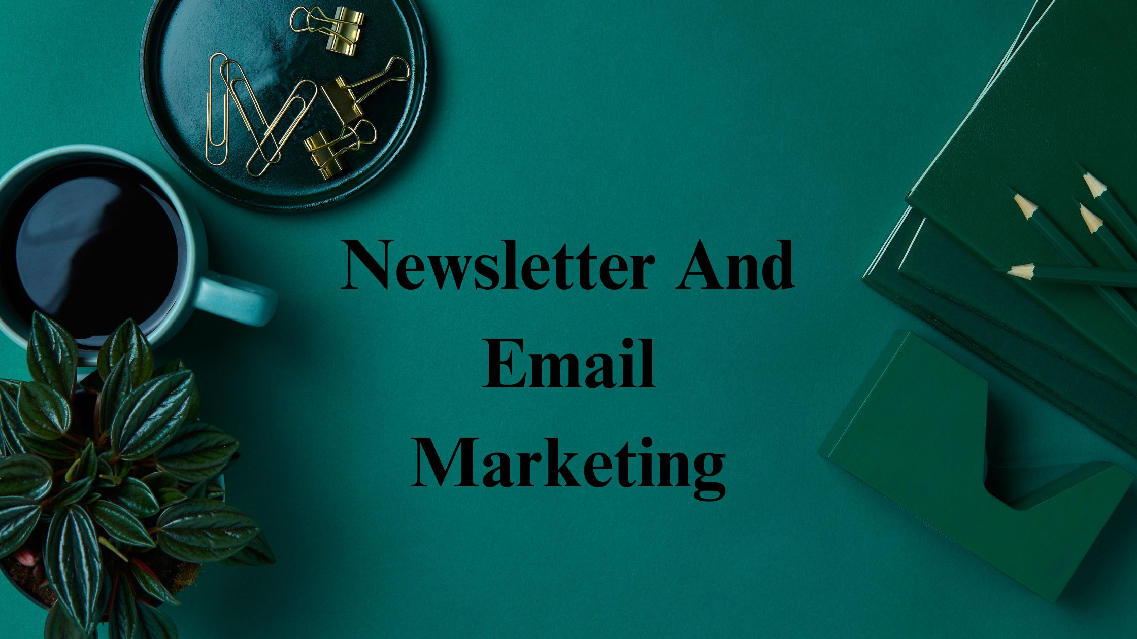 Read more about the article Newsletter And Email Marketing 2024 – Maximize Your Business Potential
