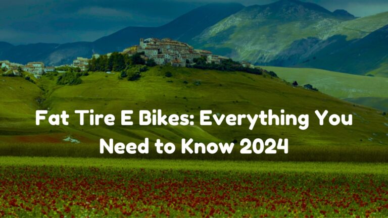 Fat Tire E Bike 2024: Everything You Need to Know to Find The Best Fit For You